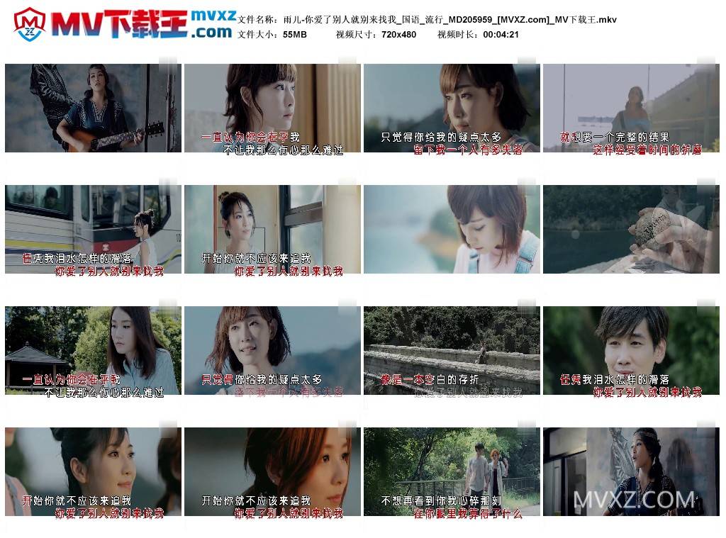 雨儿-你爱了别人就别来找我_国语_流行_MD205959